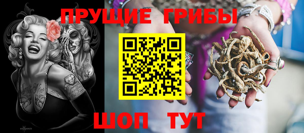 Псилоцибиновые грибы ЛСД  Вход с VPN  Псилоцибиновые грибы мицелий  Карабулак 