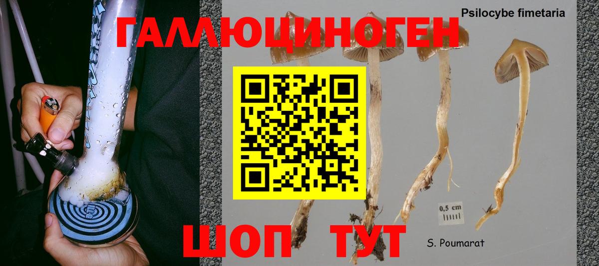 Псилоцибиновые грибы ЛСД Карабулак